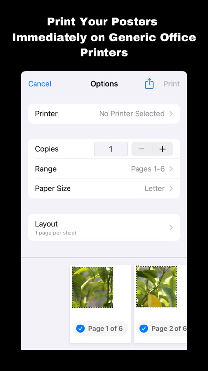 Poster Patchwork screenshot-3
