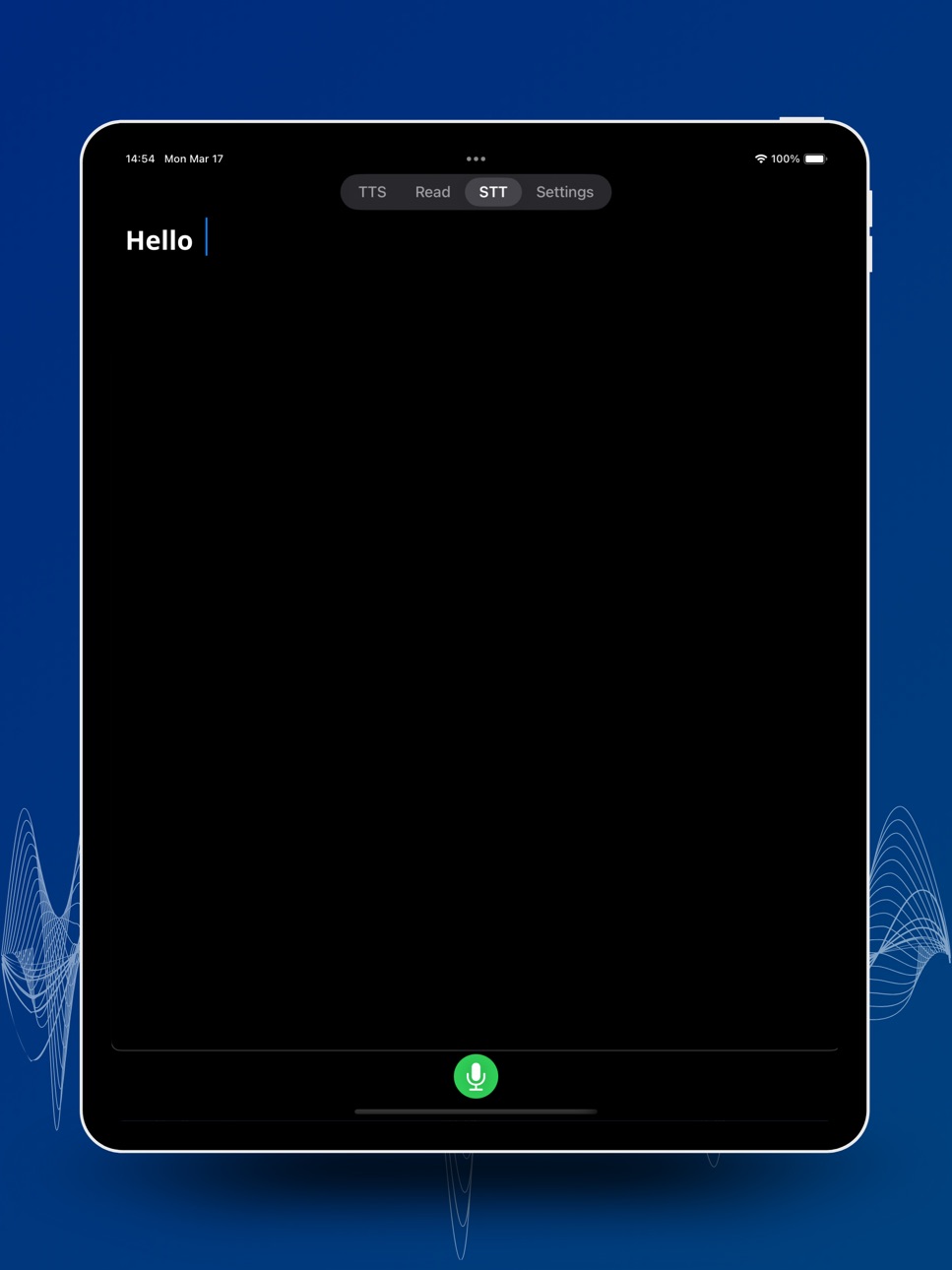 iPad screenshot