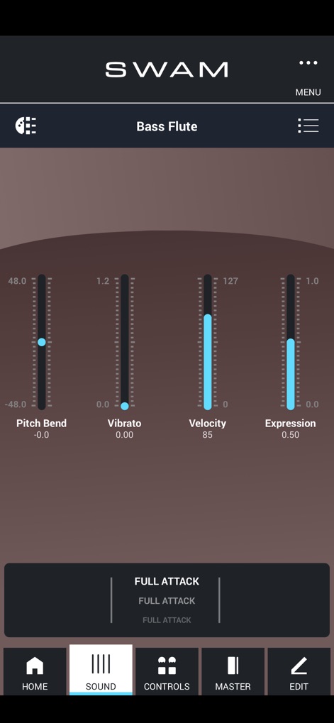 SWAM Bass Flute - Music App | MWM