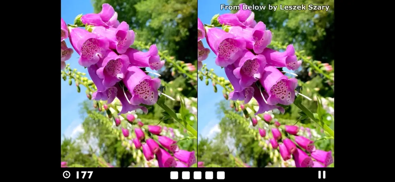 Screenshot #1 pour Find the Difference!