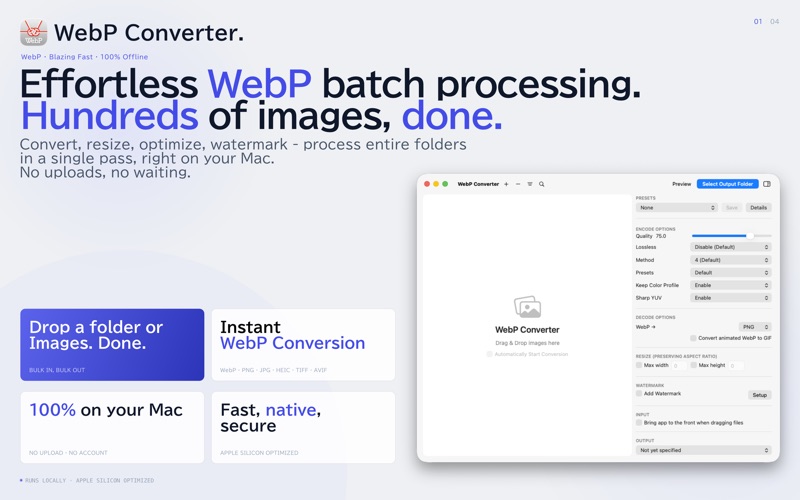 Screenshot #1 pour WebP Converter.