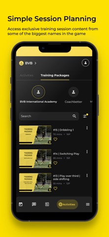 BVB China screenshot