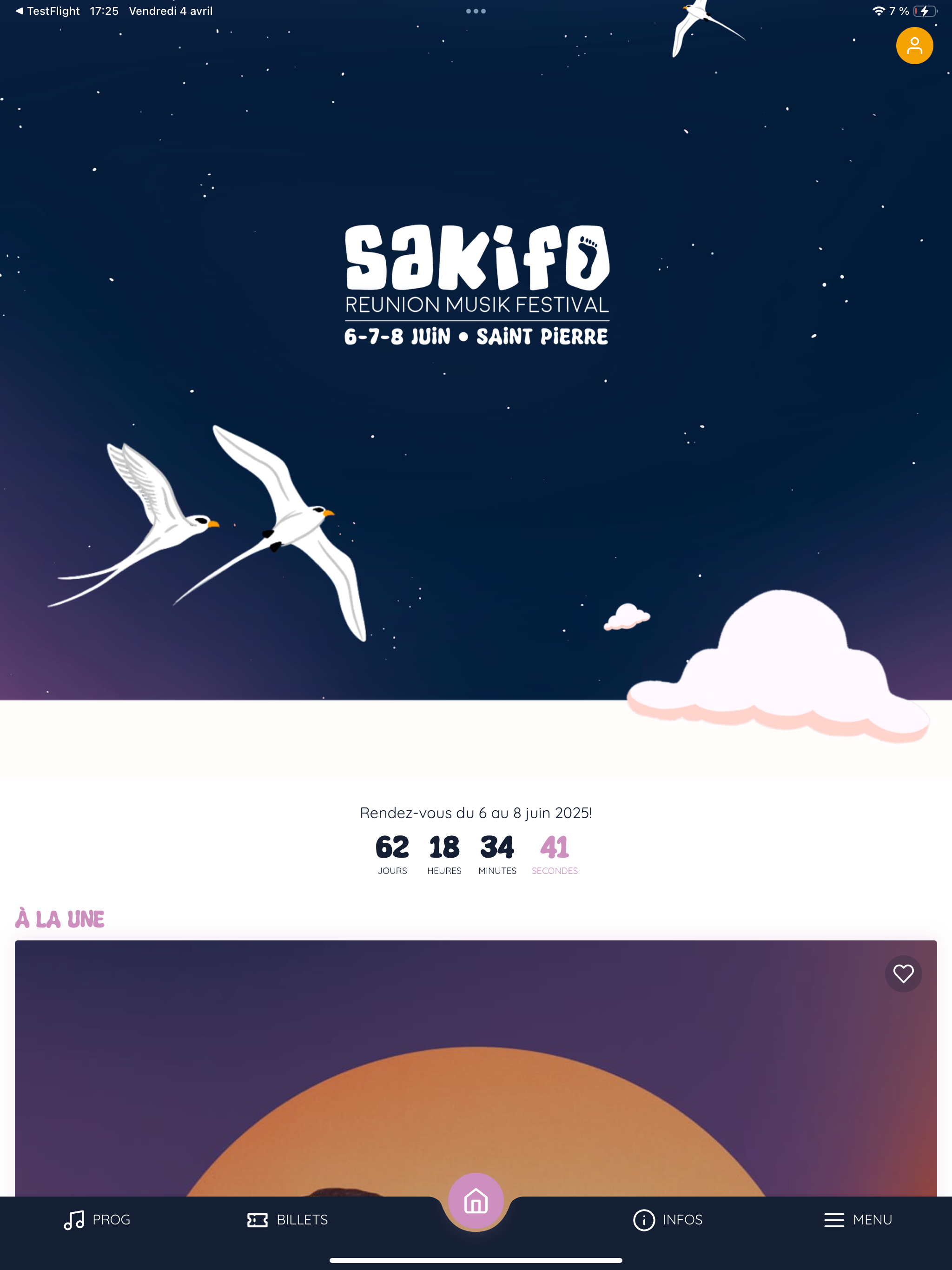 Sakifo Musik Festival screenshot 6