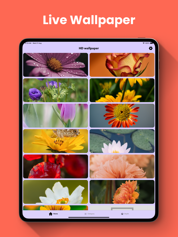 Charging Animation & Themes