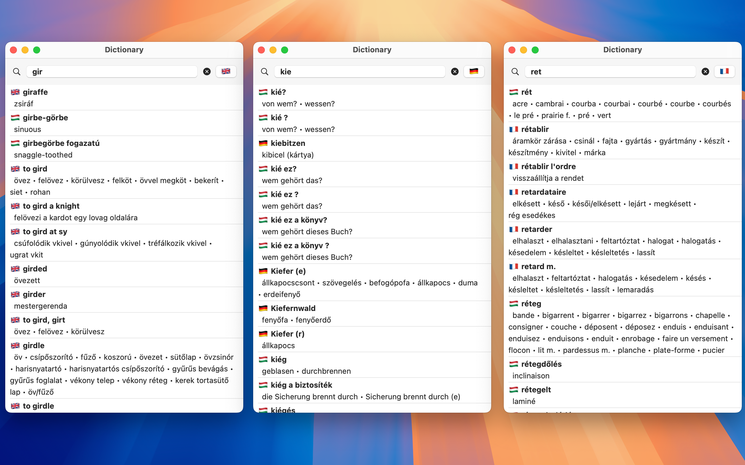 Hungarian dictionaries