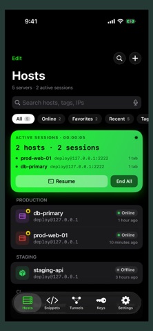 Termite: SSH Terminal Screenshot 1 of 5