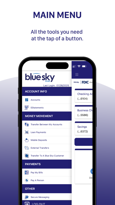 Blue Sky Bank Consumer Screenshot