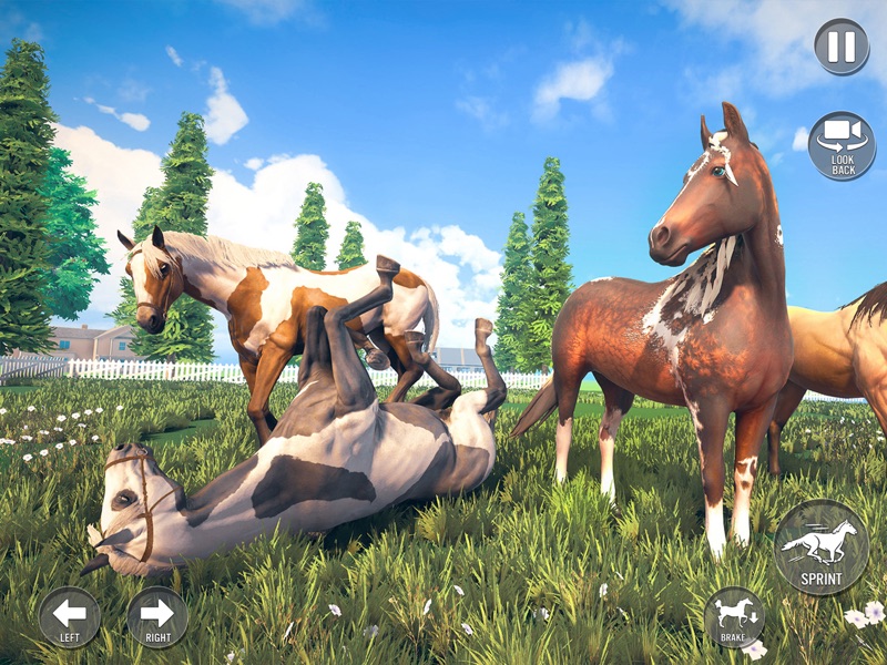 My estável cavalo correr jogos screenshot 12