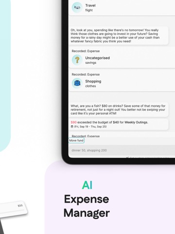 Rolly: AI Budget Money Tracker iPad screenshot 2