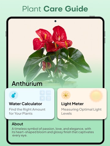 Plantae - AI Plant Identifier iPad screenshot