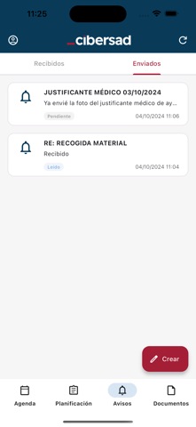 Cibersad Profesional screenshot