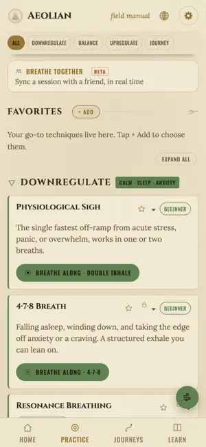 Aeolian: Breath Field Manual screenshot 3