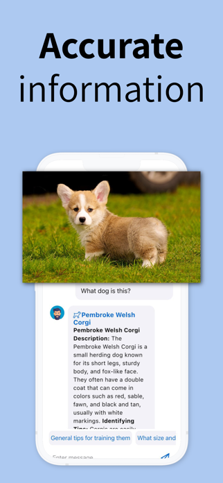Dog Breed Identifier: Scanner Screenshot 2 of 3