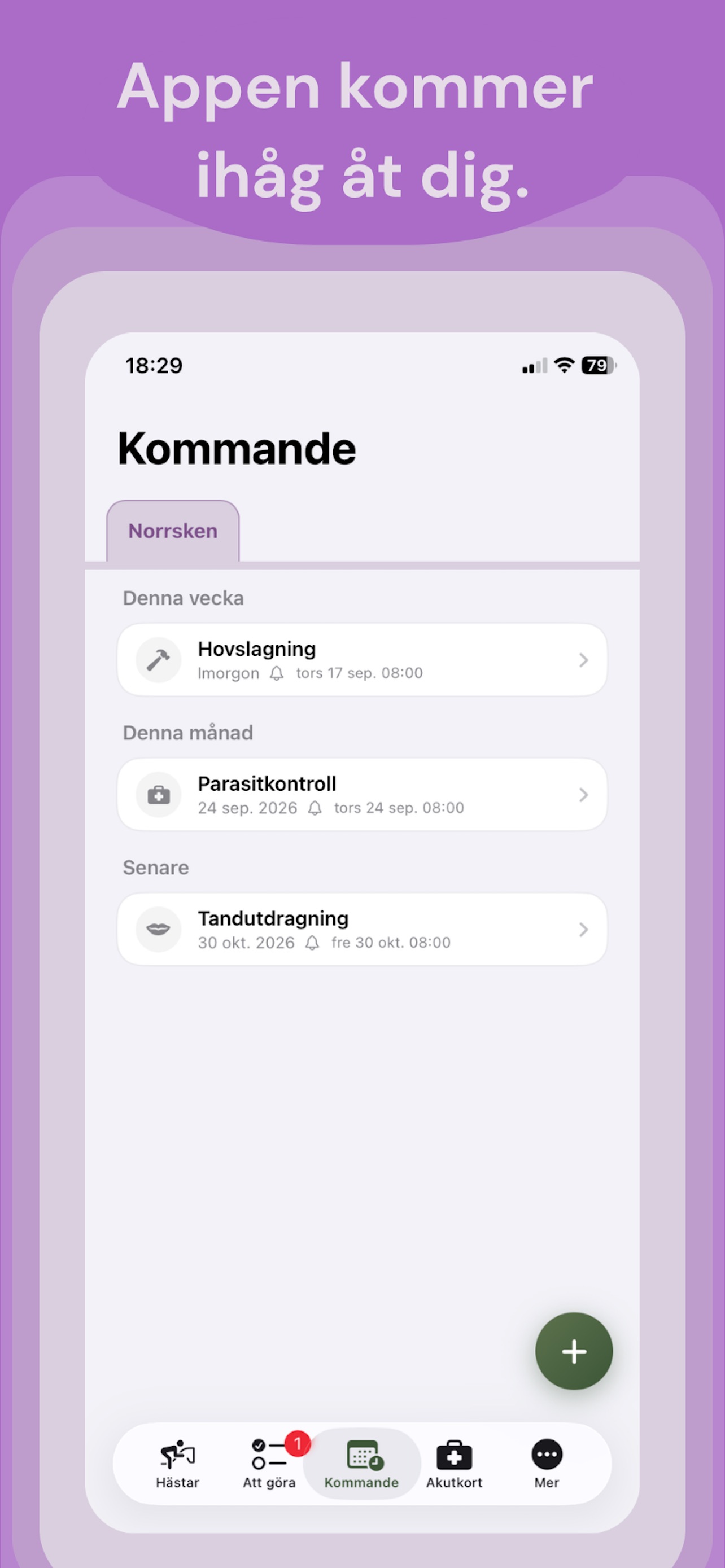Screenshot 4 of HippoLogg – hästens journal