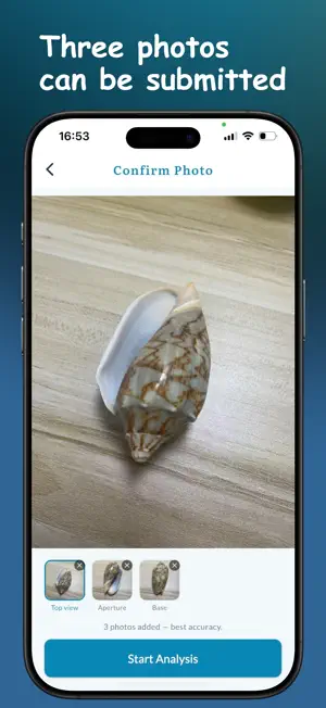 Shell Identifier - Seashell ID screenshot 3