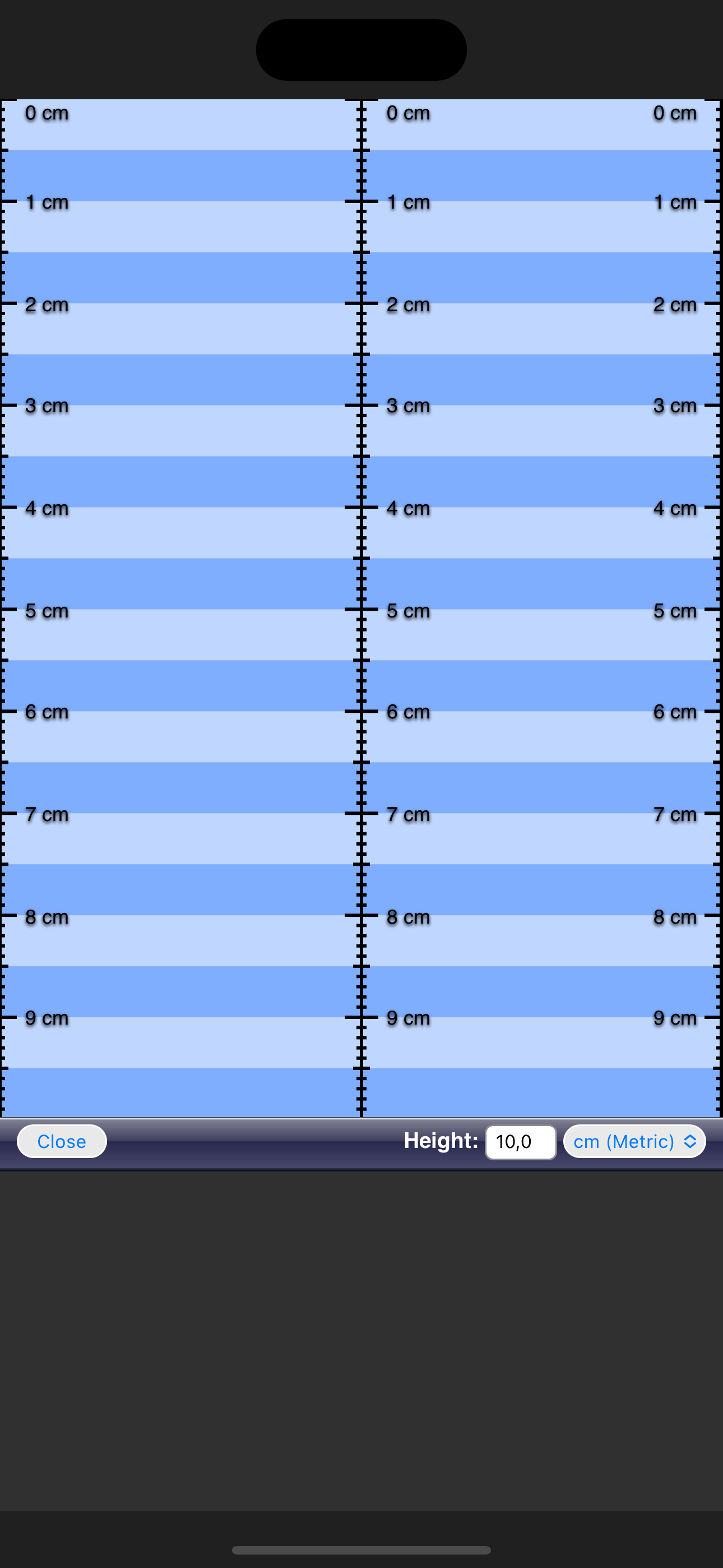 Ruler App screenshot 4