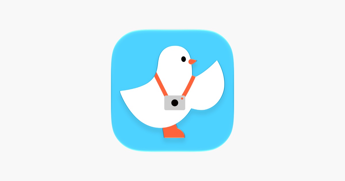 ‎crossin — digital postcards App - App Store