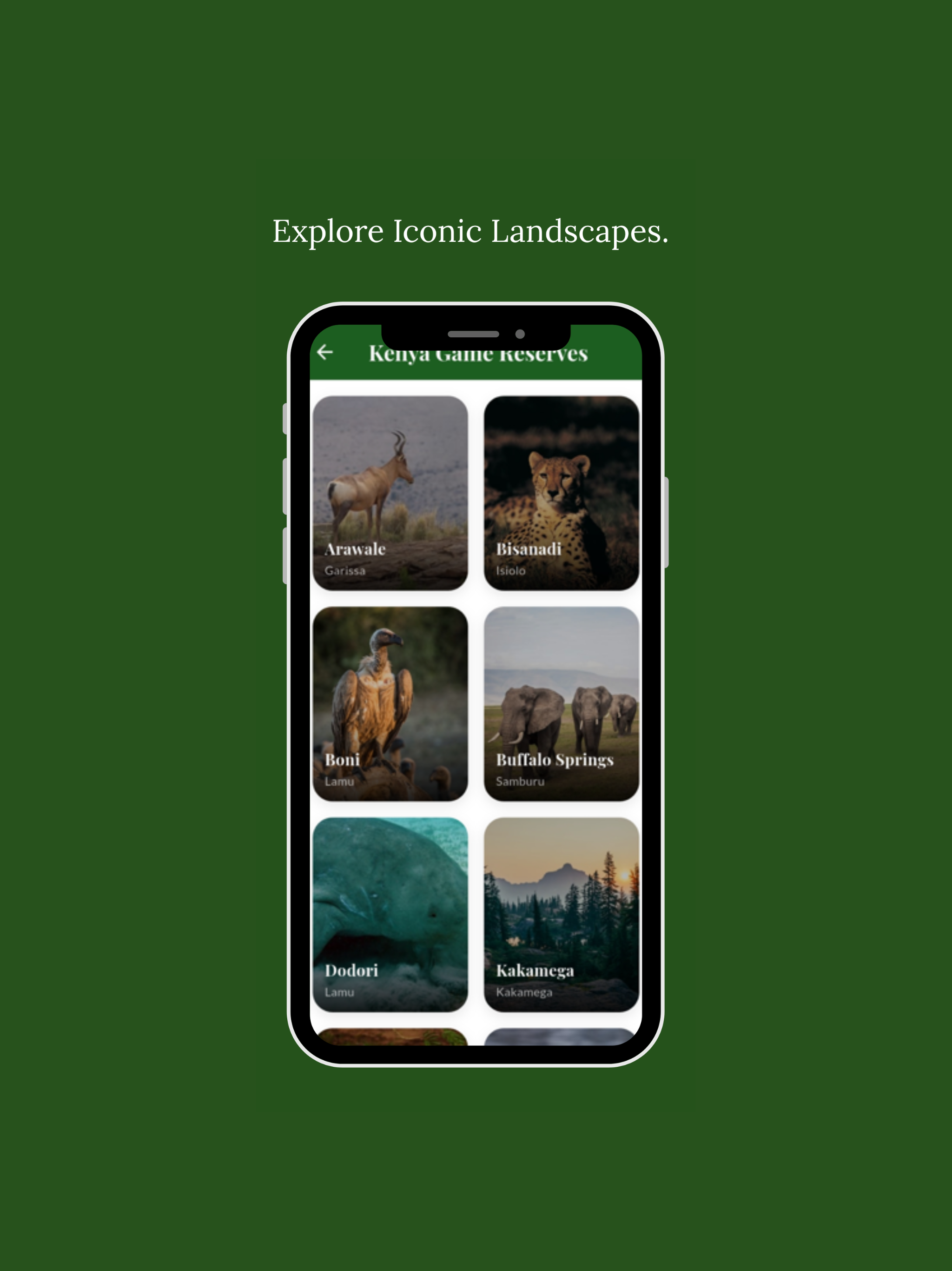 Kenya Parks: Wildlife Safaris