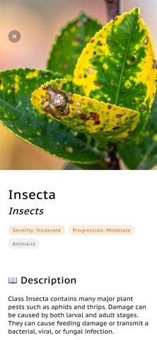 Diagnose Plant Problems App iPhone screenshot