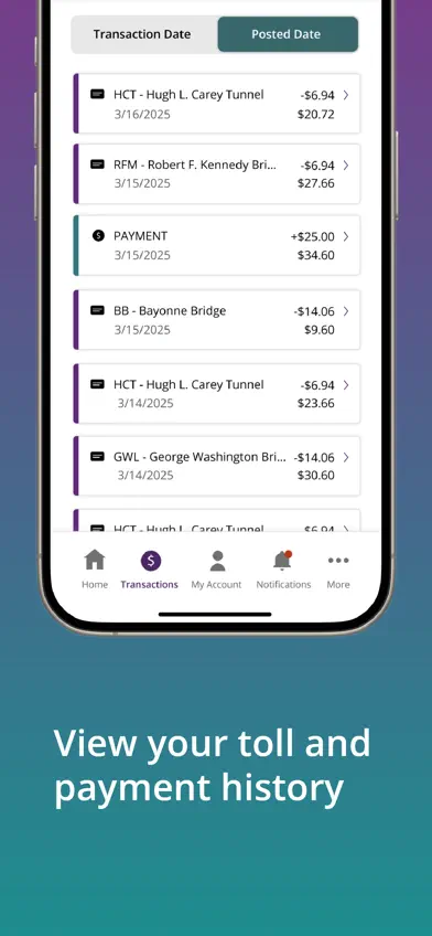 Tolls NY screenshot 5