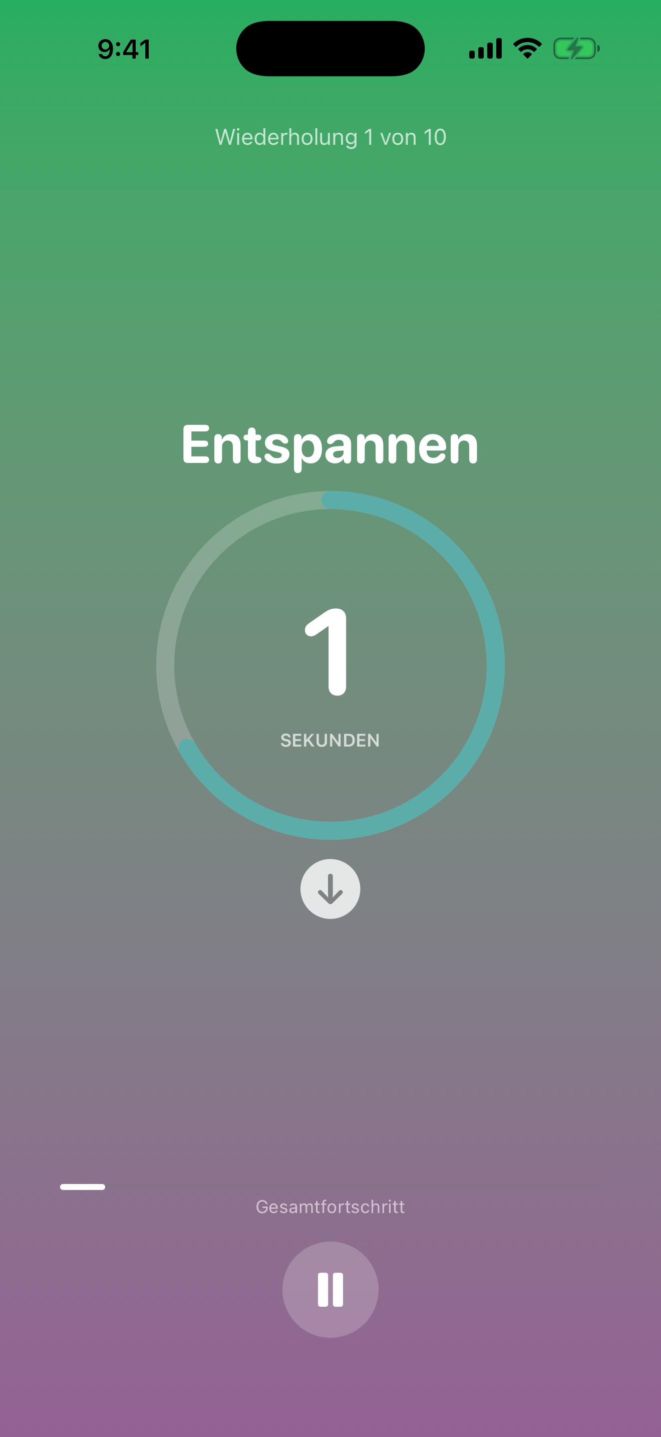 iBeckenbodentraining screenshot 2