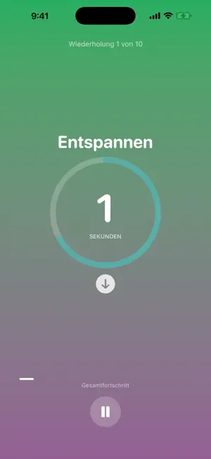 iBeckenbodentraining screenshot 2