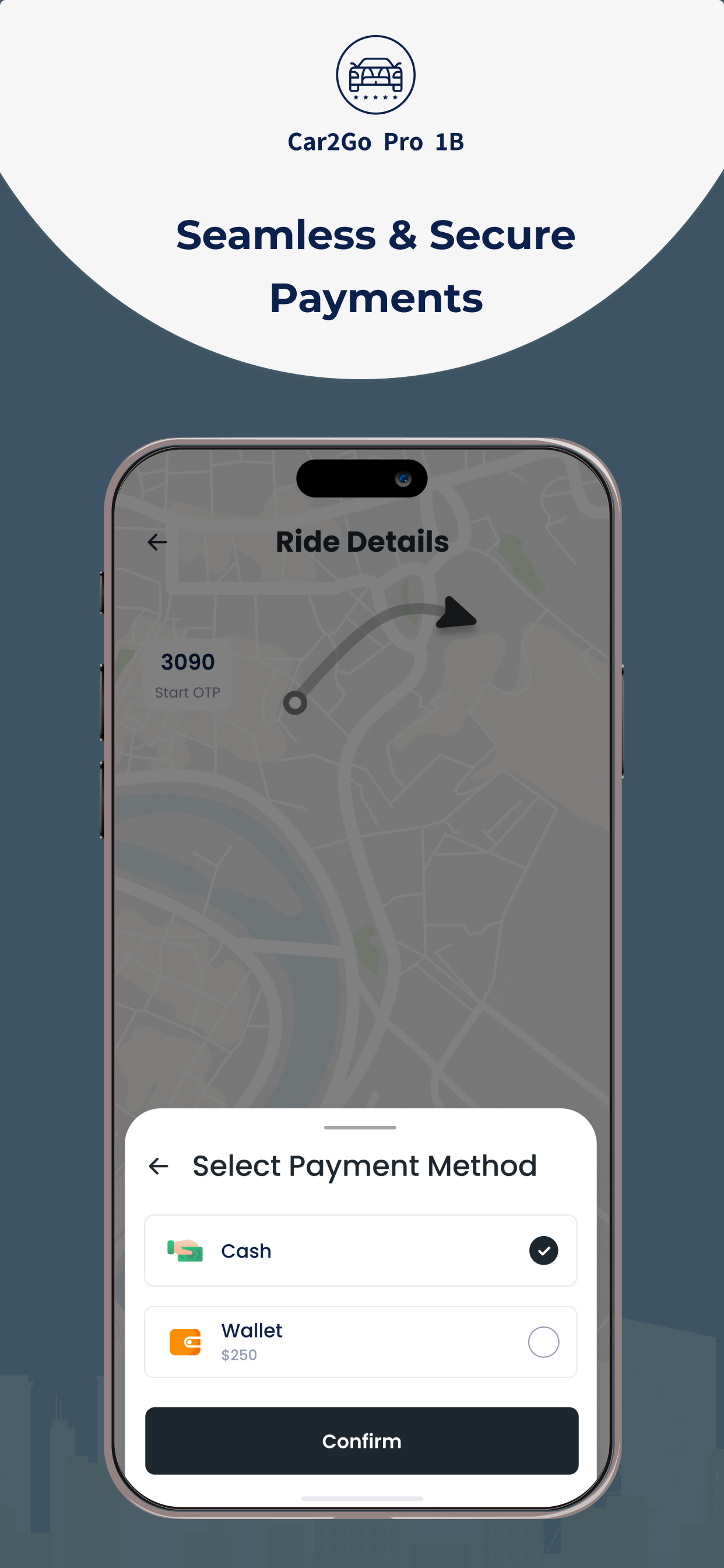 Car2Go Pro 1B screenshot 8