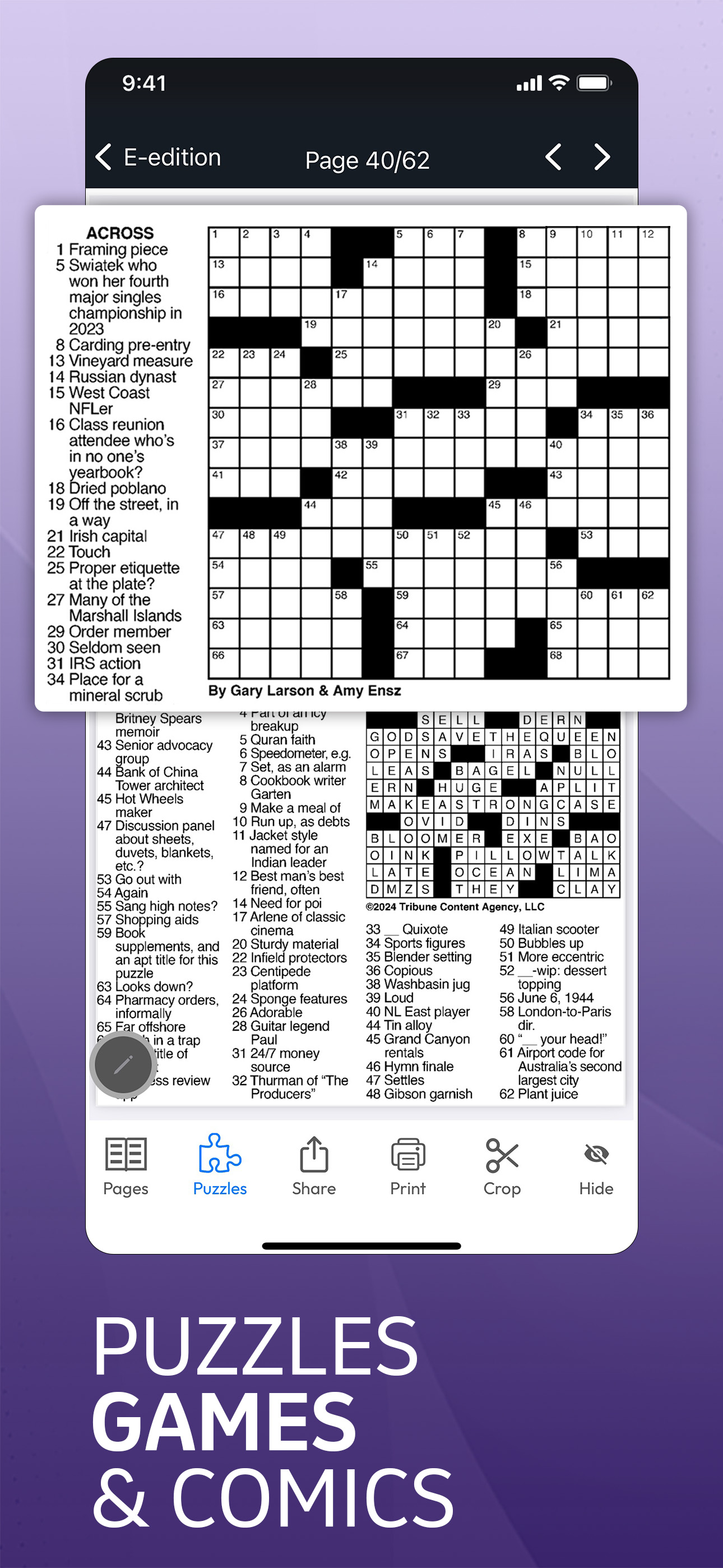 Elko Daily Free Press screenshot 5