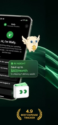Money Tracker: Wally AI Screenshot 6 of 6