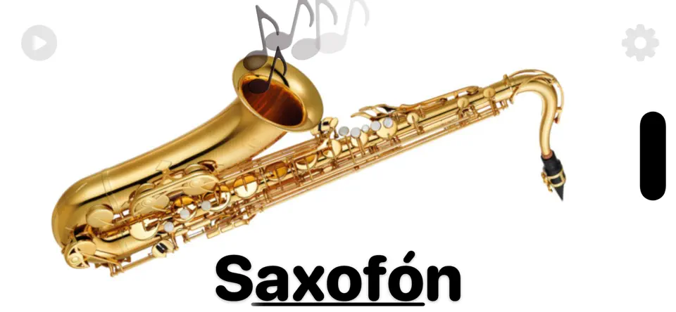 Captura de pantalla de Instrumentos Musicales en iPhone 2