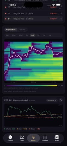 BTC Pulse: Bitcoin Market Screenshot 3 of 5