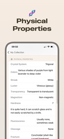 Rock Identifier - AIStone Screenshot 3 of 7
