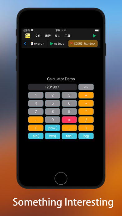 C Code Develop Screenshot