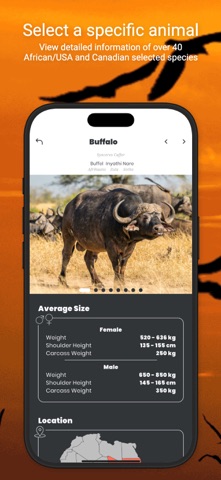 International Hunters iPhone screenshot