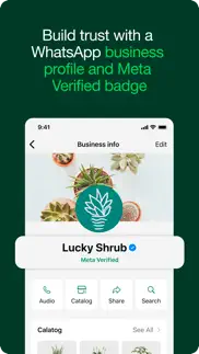whatsapp business not working image-1