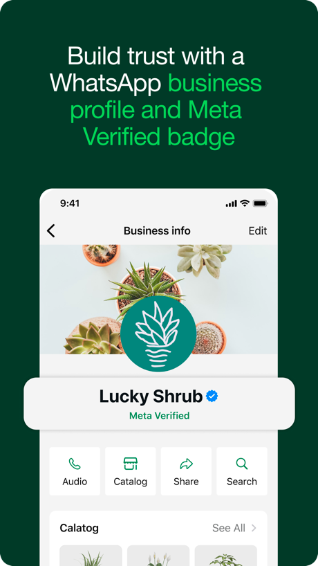 WhatsApp Business App Store screenshot 1, headline “Build trust with a WhatsApp business profile and Meta Verified badge”. Background is the icon’s colour.