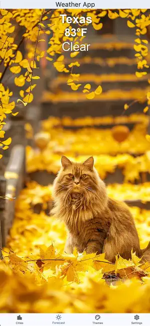 The Weather Cat Channel screenshot 4