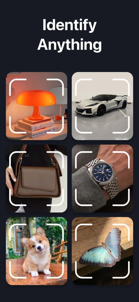 Lens: Reverse Image Search - このアプリは、多様なオブジェクト（ランプ、車、時計など）を簡単に認識し、そのスキャンフレームが示唆するように広範な識別能力を提供します。