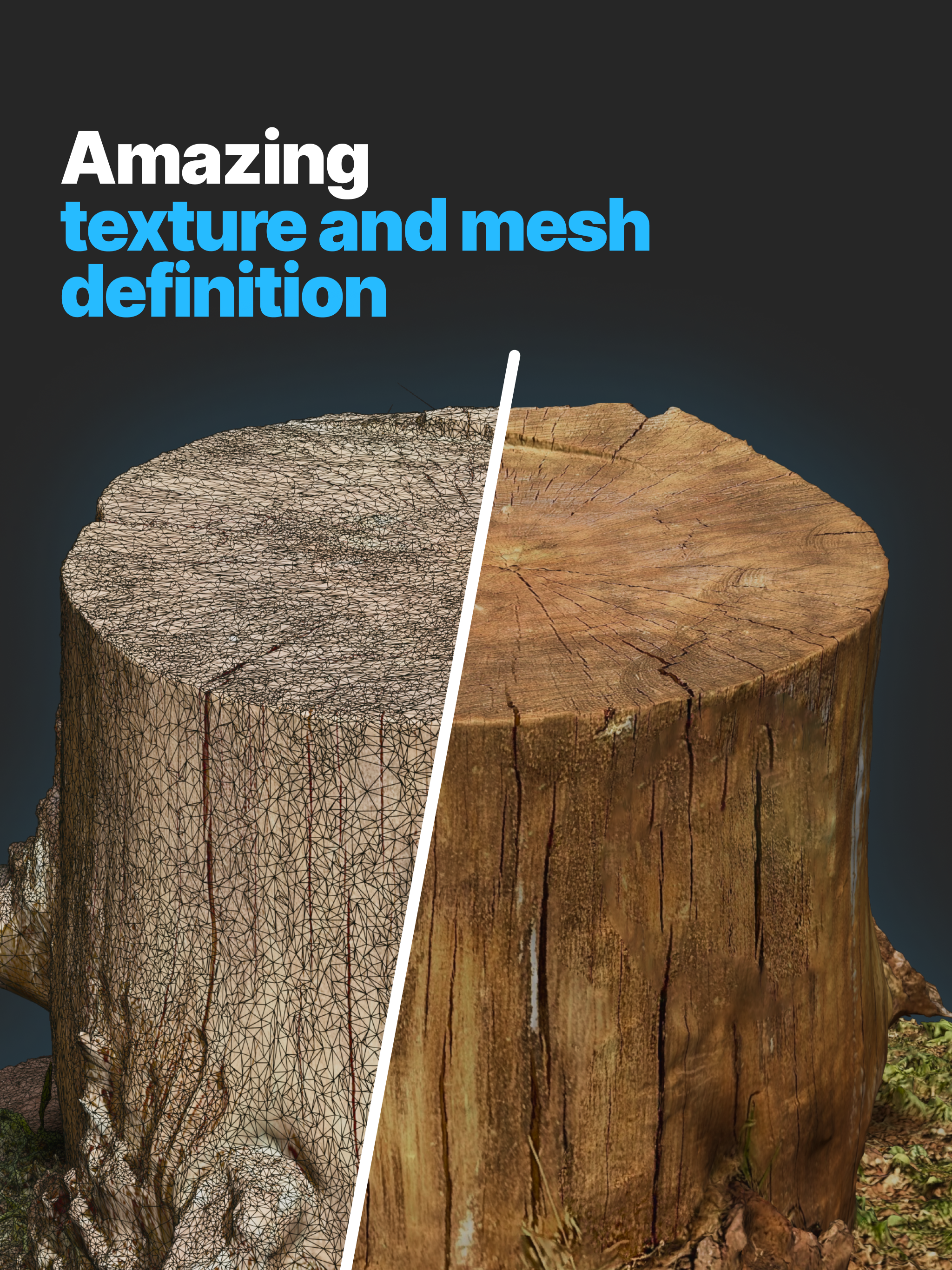 RealityScan - 3D Scanning App