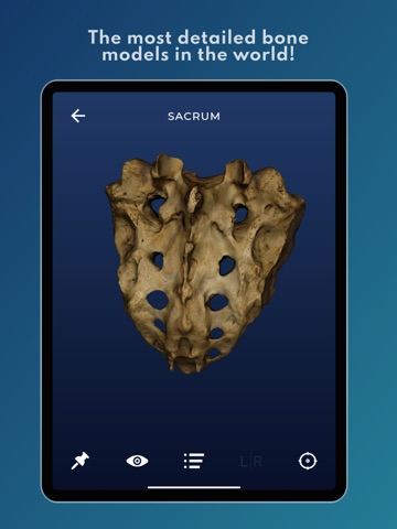 Skelviewer2 iPad screenshot