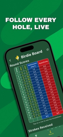 Birdie Board screenshot
