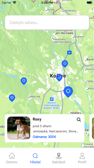 Lost Pets Online Screenshot
