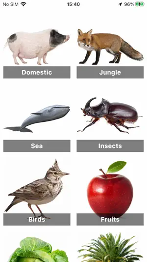 Flashcard English for beginner screenshot 1