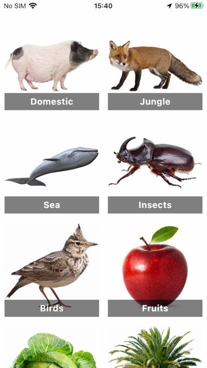 Flashcard English for beginner