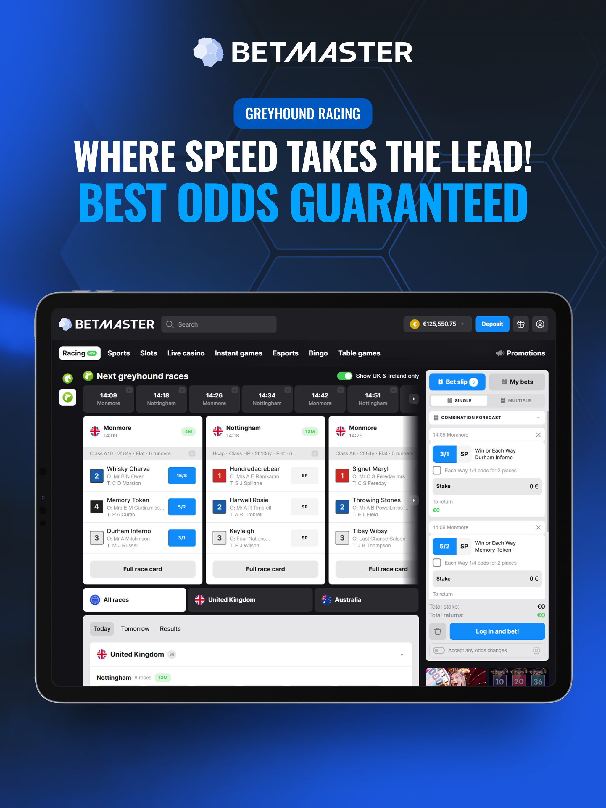 Betmaster - Racing screenshot 13