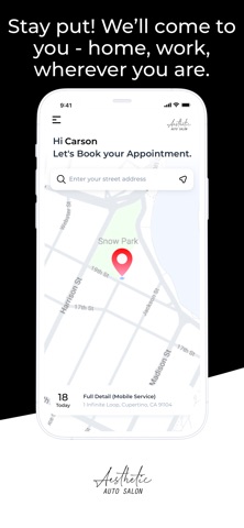 Aesthetic Auto Salon Detailing Screenshot 1 of 6