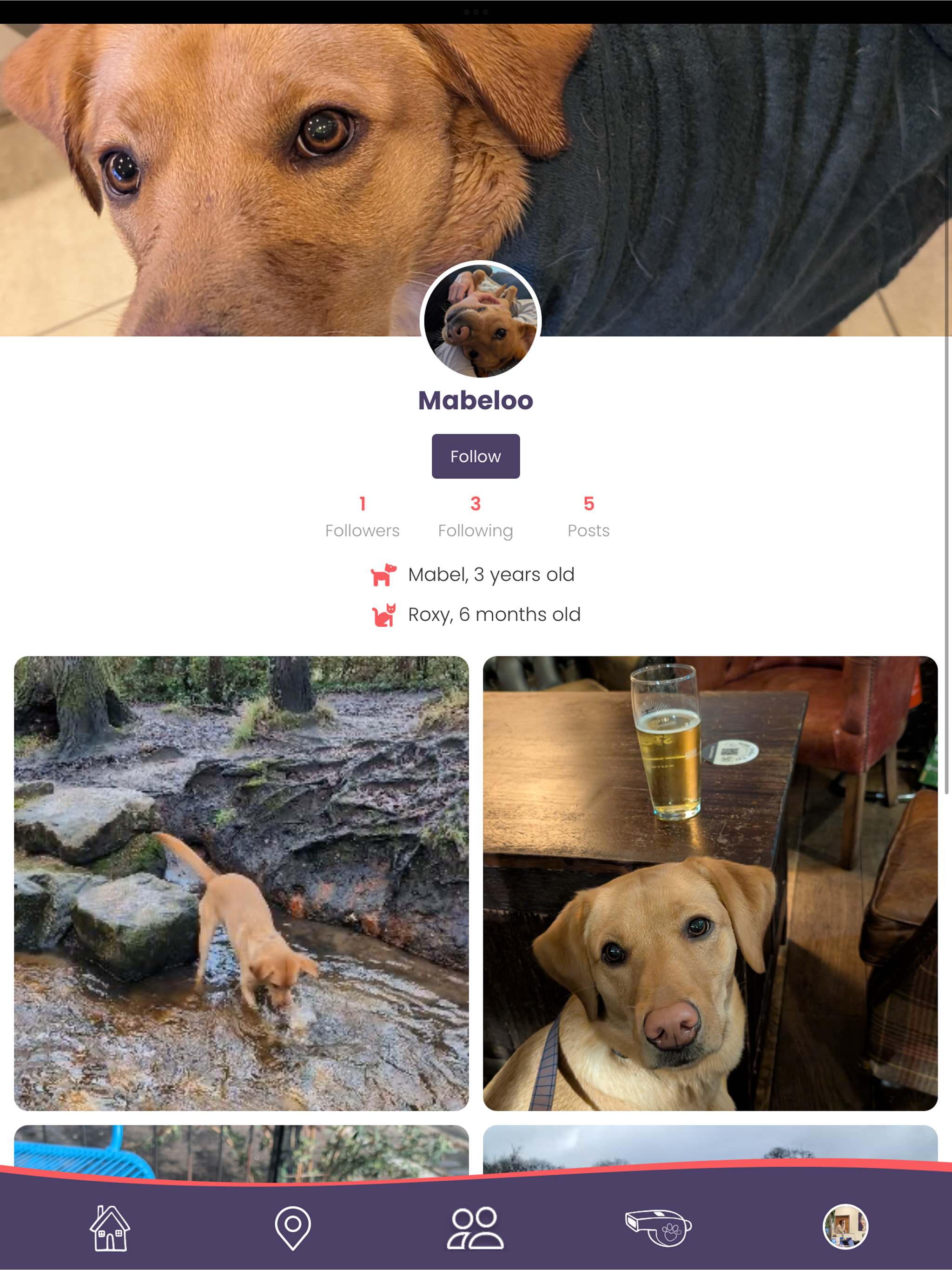 Pet Social Rewards screenshot 10