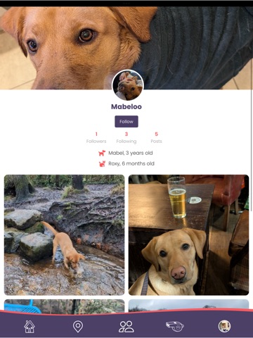 Pet Social Rewards iPad screenshot