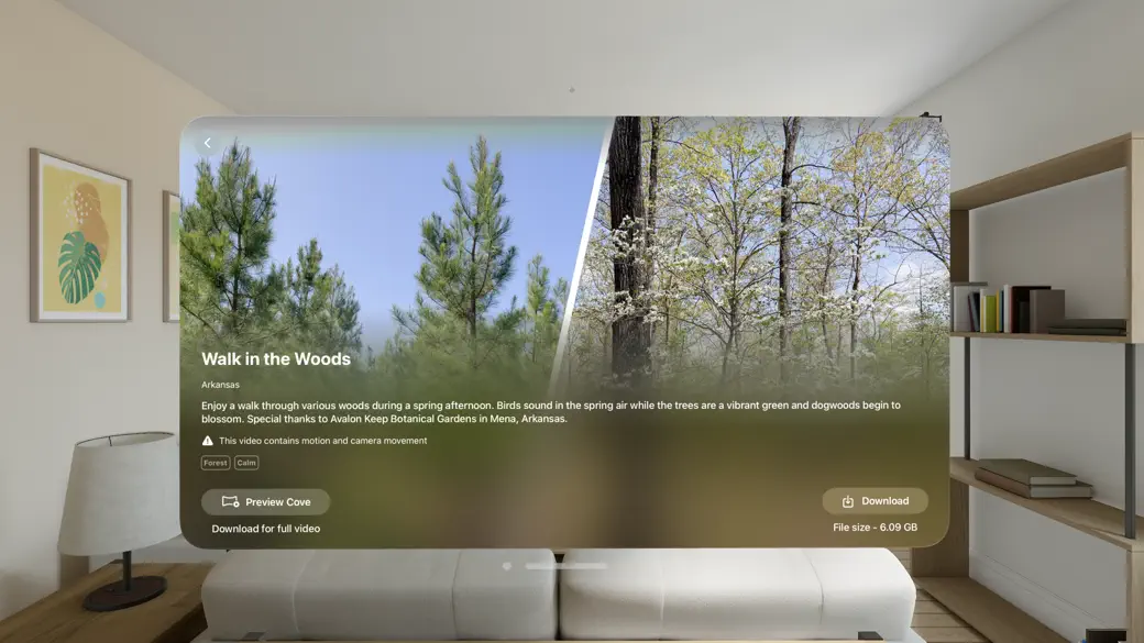 Cove Immersion screenshot 2