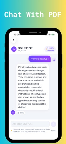 PDF Summarizer - Chat With PDF screenshot